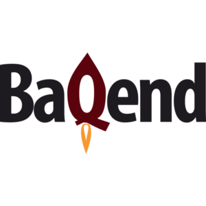 Baqend GmbH